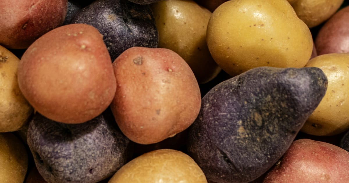 Papas de varios colores, moradas, rojizas y amarillas, amontonadas en un puesto.