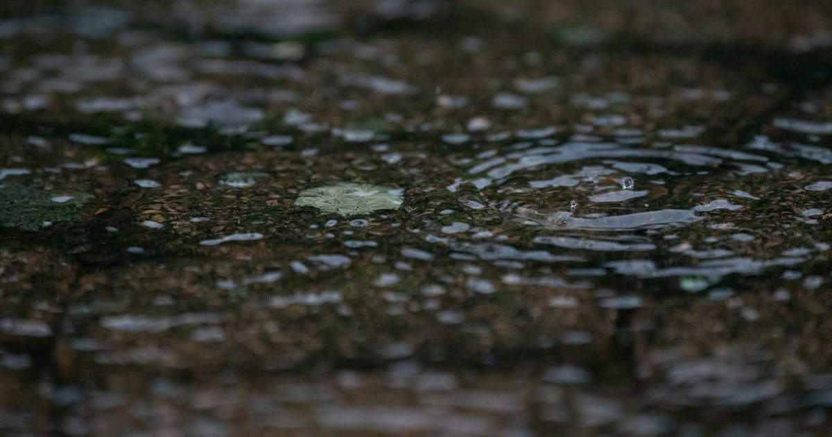 Primer plano de un charco de agua estancada sobre el suelo.