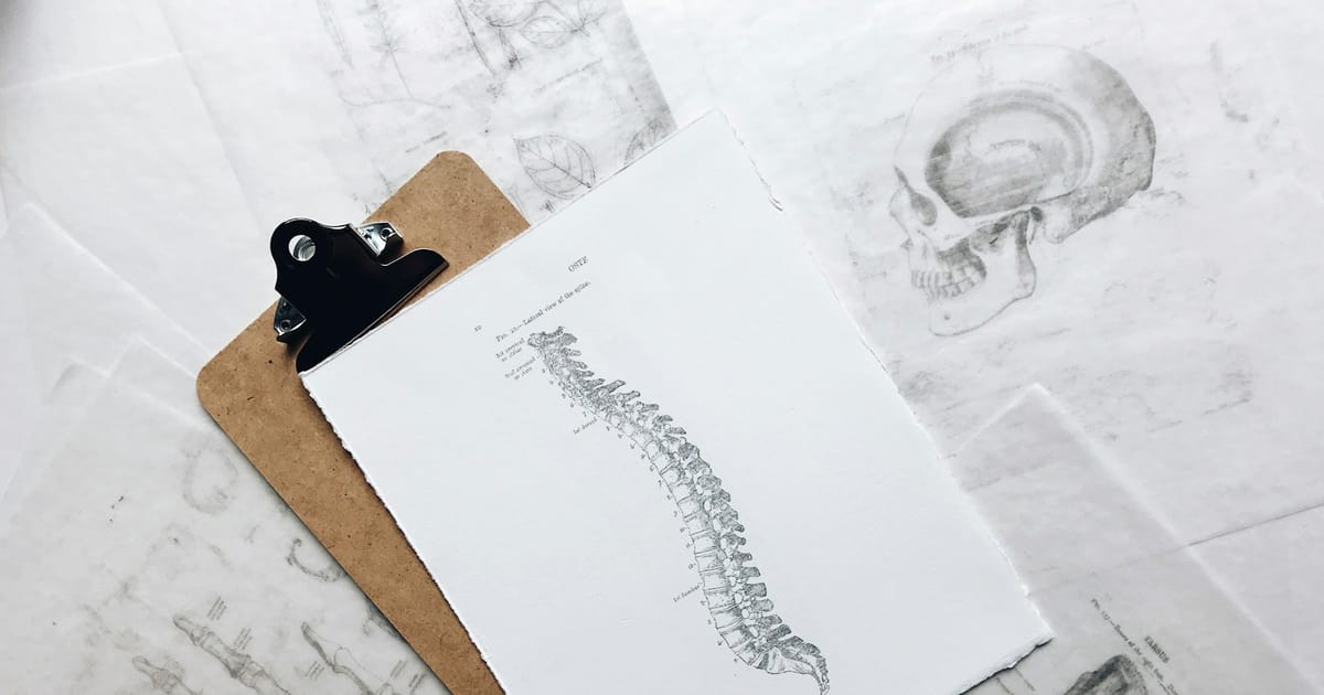 Un dibujo anatómico de la columna vertebral sujeto a un portapapeles.
